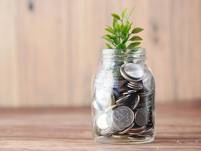 A green plant growing out of a jar of change