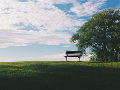 An empty bench on green grass in a park